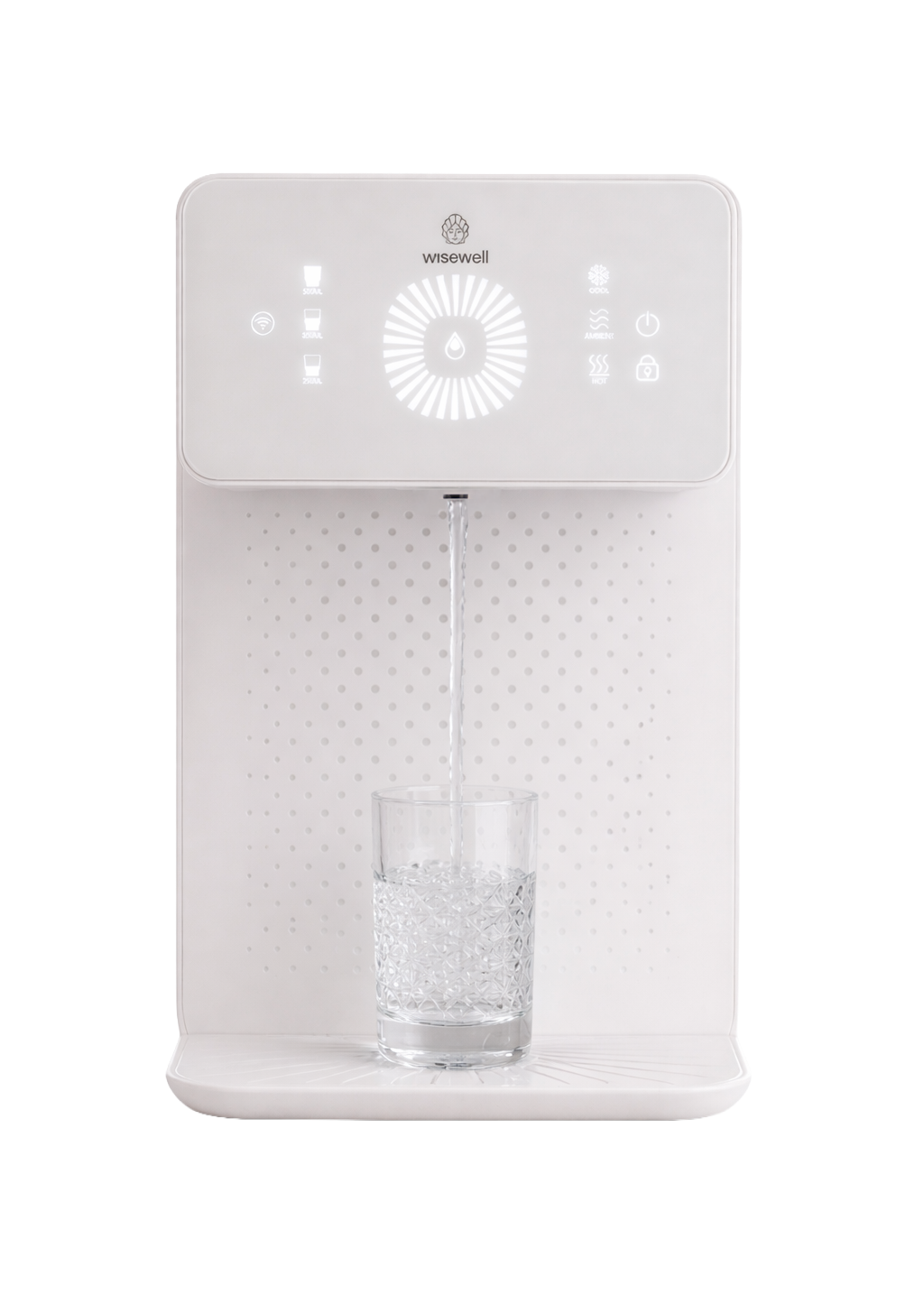 Wisewell Nano
