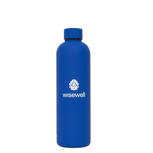 Matte Steel Bottles 750ml / Electric Blue